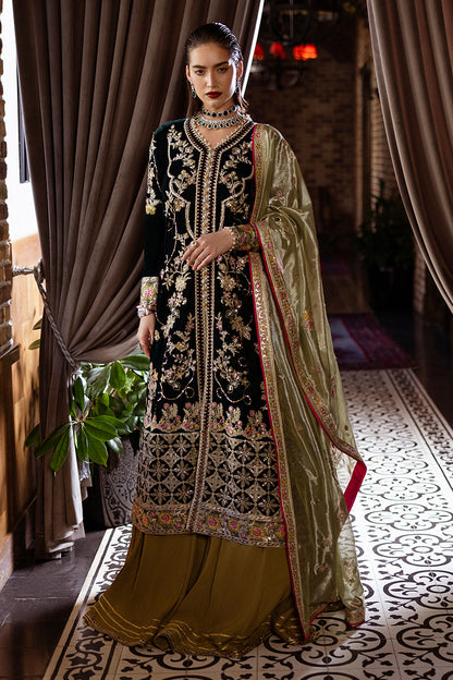 velvet suit design 2025 Pakistan