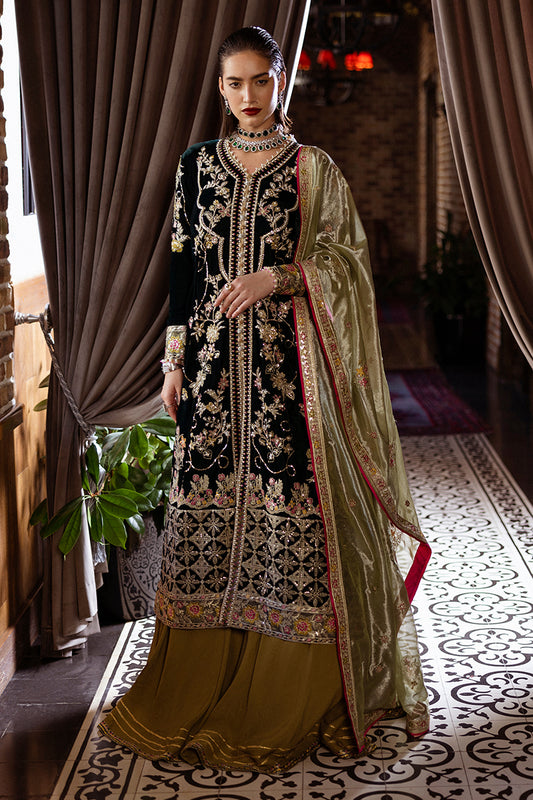 velvet suit design 2025 Pakistan